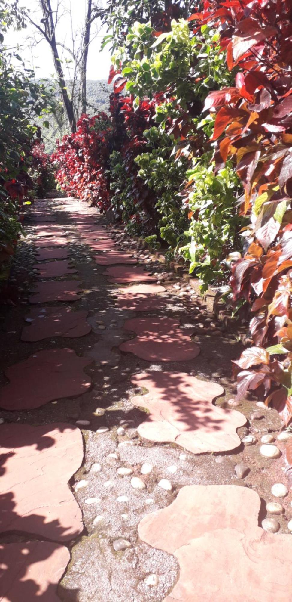 Strawberry Country Vila Mahābaleshwar Quarto foto